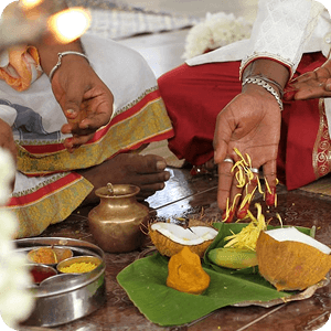 Institution Organises